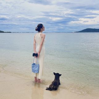 Diep Son 島是個隱藏的瑰寶 
