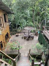 📍บ้านต้นไม้แม่แมะ จ.เชียงใหม่