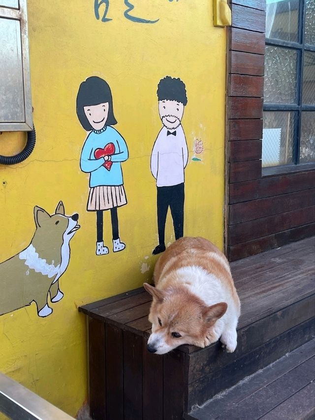 Corgi & Coffee