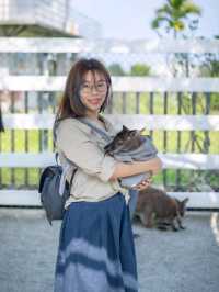 親親動物零距離