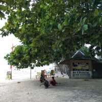 ♡菲律賓~薄荷島 Bohol Island