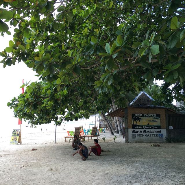 ♡菲律賓~薄荷島 Bohol Island