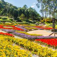 พาลุยที่เที่ยวเชียงรายกับธรรมชาติและวัฒนธรรม