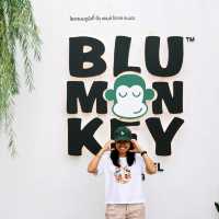 เที่ยวระนอง ชวนมานอนกับพี่ลิง Blu Monkey 