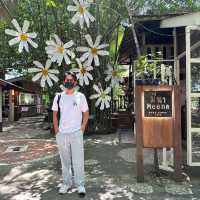 Meena : A Cozy Spot for Delicious Thai Cuisine