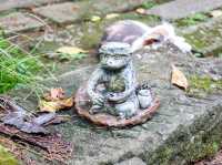【静岡県】 河津にある河童伝説のお寺『栖足寺』