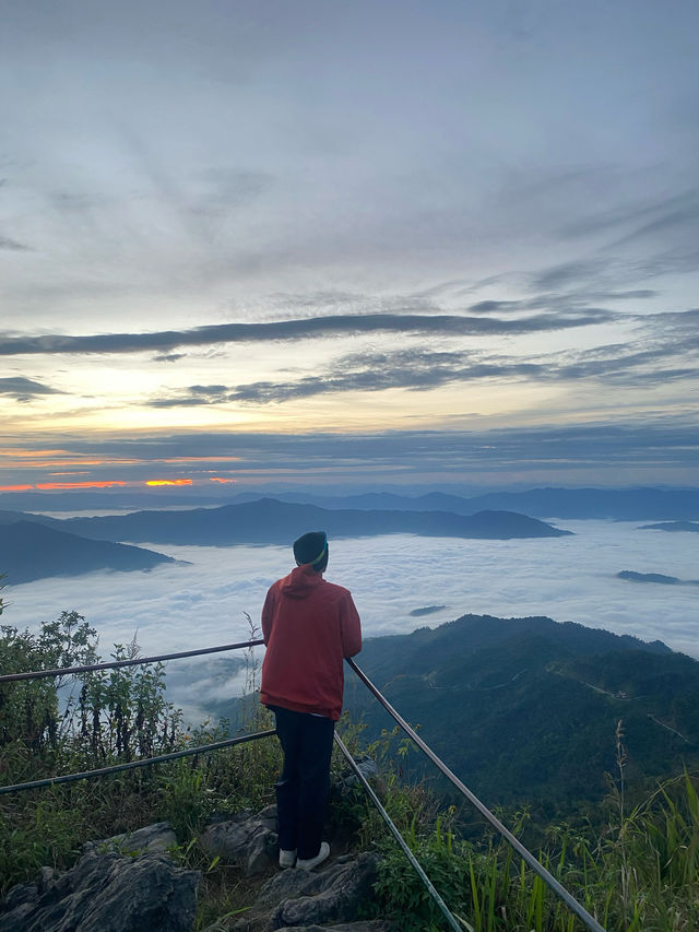ดอยผาตั้ง | จ.เชียงราย ⛰️⛅️🌳🌼