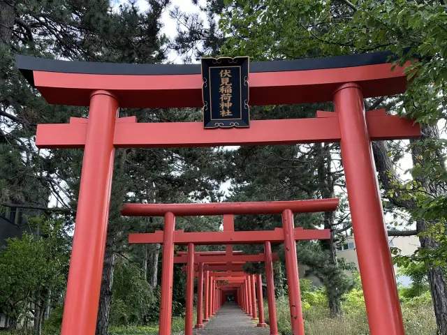 北海道神宮與伏見稻荷神社x綠色森林與紅色鳥居