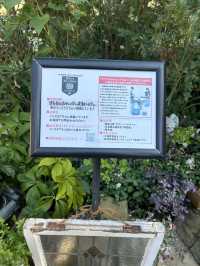 【福岡 小郡】英国気分を味わえるアーリントンアンティークビレッジ🇬🇧