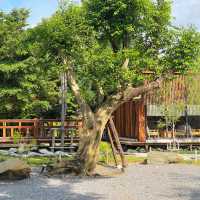 The bull and flower ~ คาเฟ่ในสวนสไตล์ญี่ปุ่น