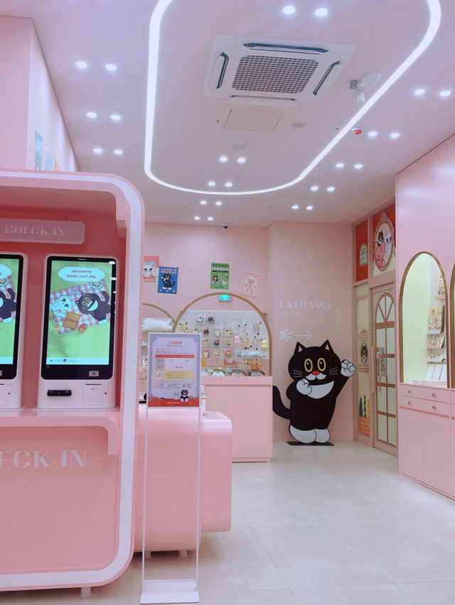 🐱🐈명동 사랑과 빛이 가득한 고양이 카페, 루프캣미