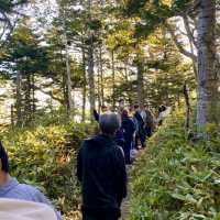 【北海道】熊にも会えるかも？知床の大自然を満喫できる公園とは