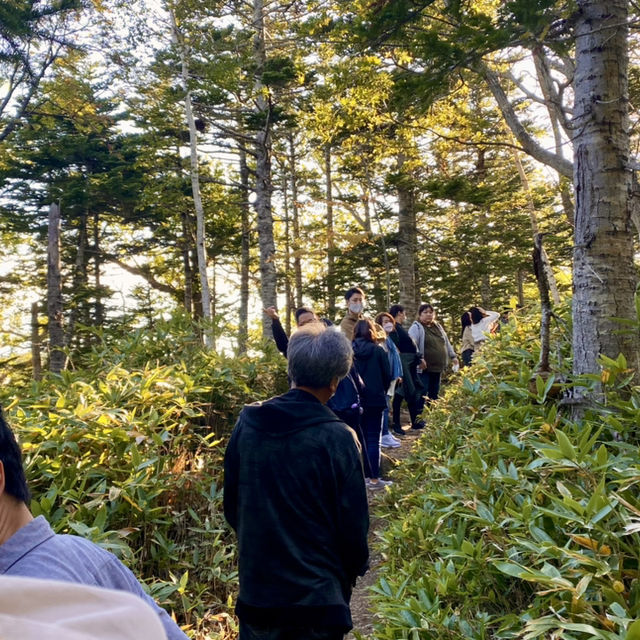 【北海道】熊にも会えるかも？知床の大自然を満喫できる公園とは