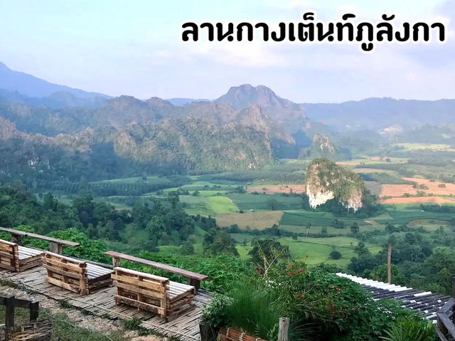 ลานกางเต็นท์ภูลังกา จ.พะเยา