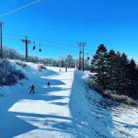 🏂 滑雪天堂：富良野滑雪場🎿