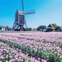  Discover the Charm of Huis Ten Bosch: A Dutch Wonderland in Nagasaki, Japan 🌷🏰🌟