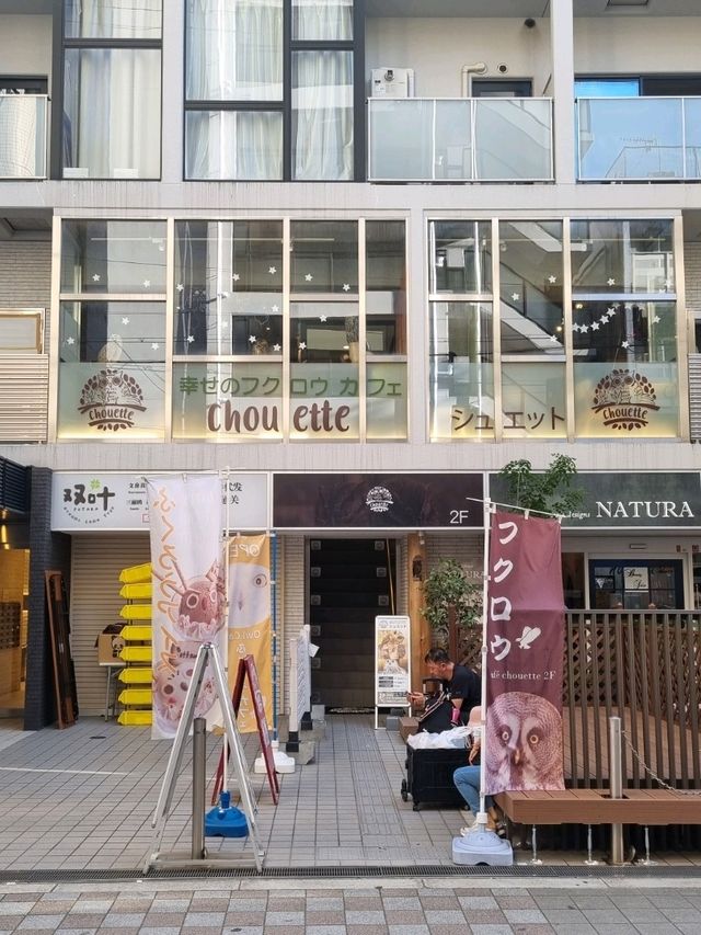 귀여운 부엉이들 천국, 오사카 카페 슈엣토🌟