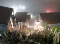 สัมผัสไอหนาวที่แคมป์วิวหมอก