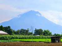 Active volcano of Mount Sinabung