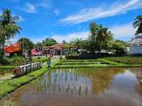 A nice visit to the paddy museum at Langkawi, Laman Padi