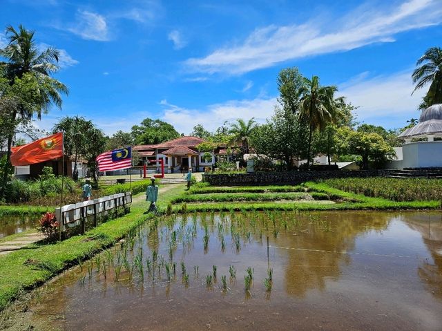 A nice visit to the paddy museum at Langkawi, Laman Padi