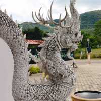 ม่อนพญานาคราช