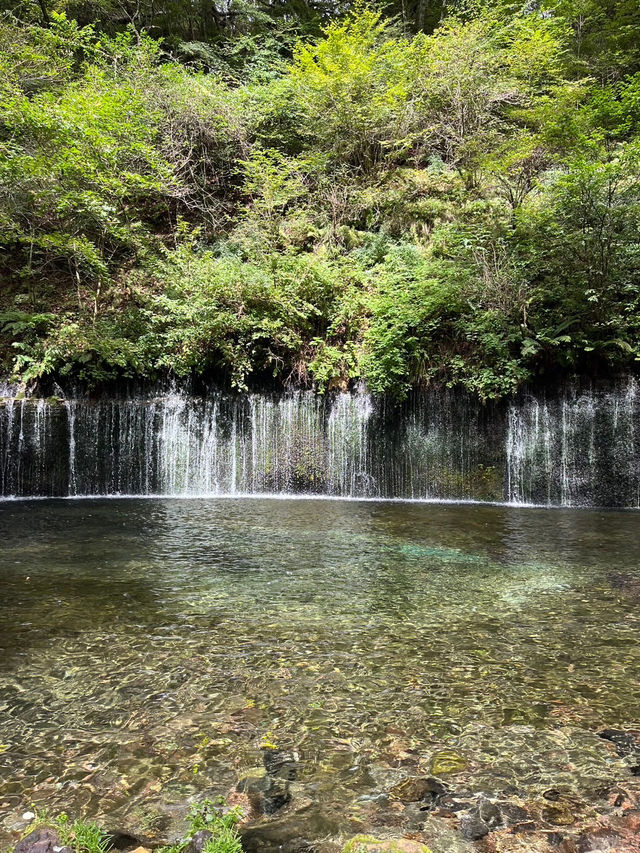 【軽井沢町】自然を楽しむ無料スポット白糸の滝🌿‬