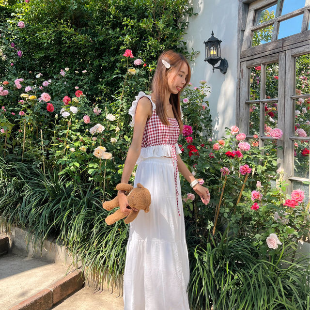 คาเฟ่ที่มีดอกกุหลาบสวยที่สุดในเชียงใหม่ 🪟🌹