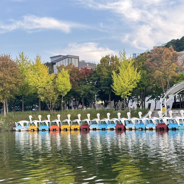 大邱東橫inn兩日遊