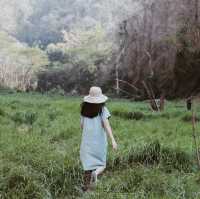 อ่างเก็บน้ำห้วยสามขา 🌱🍃 @MaeTha, Lampang
