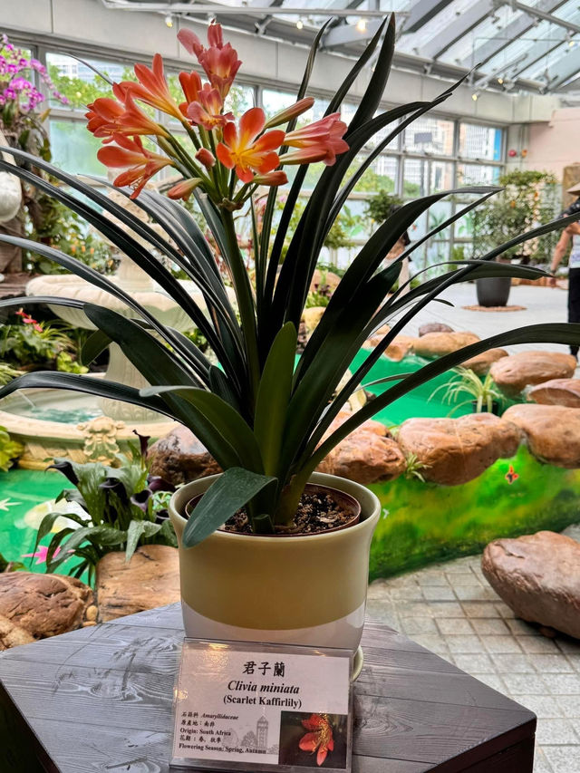 香港公園🫶🏻期間限定香花展覽‼️週末好去處