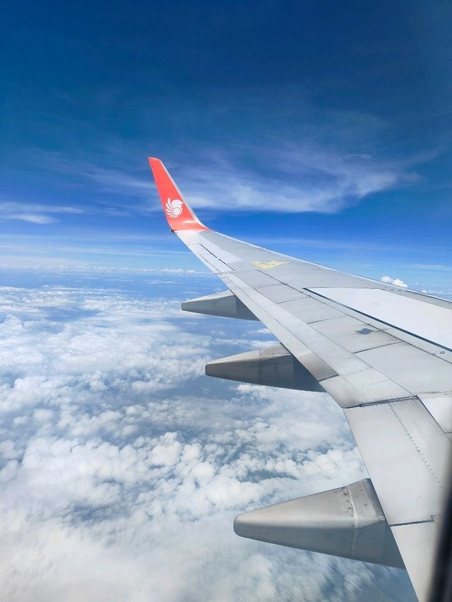 ใช้ trip.com บินฟรียังไง ? ไปดูกัน