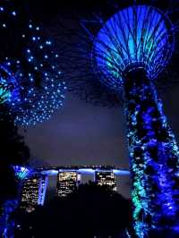 Gardens by the Bay: ชมแสงสียามค่ำคืน ✨️