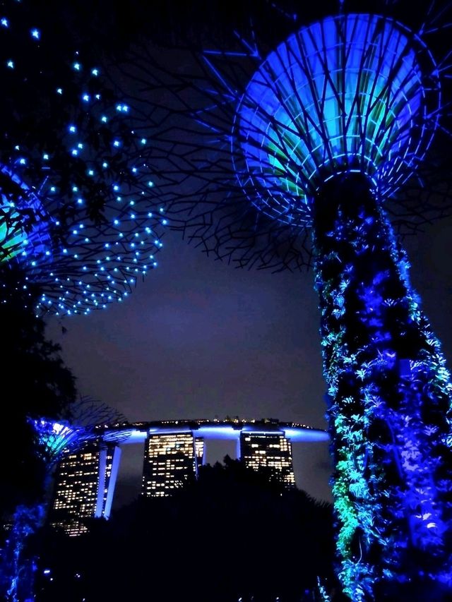 Gardens by the Bay: ชมแสงสียามค่ำคืน ✨️