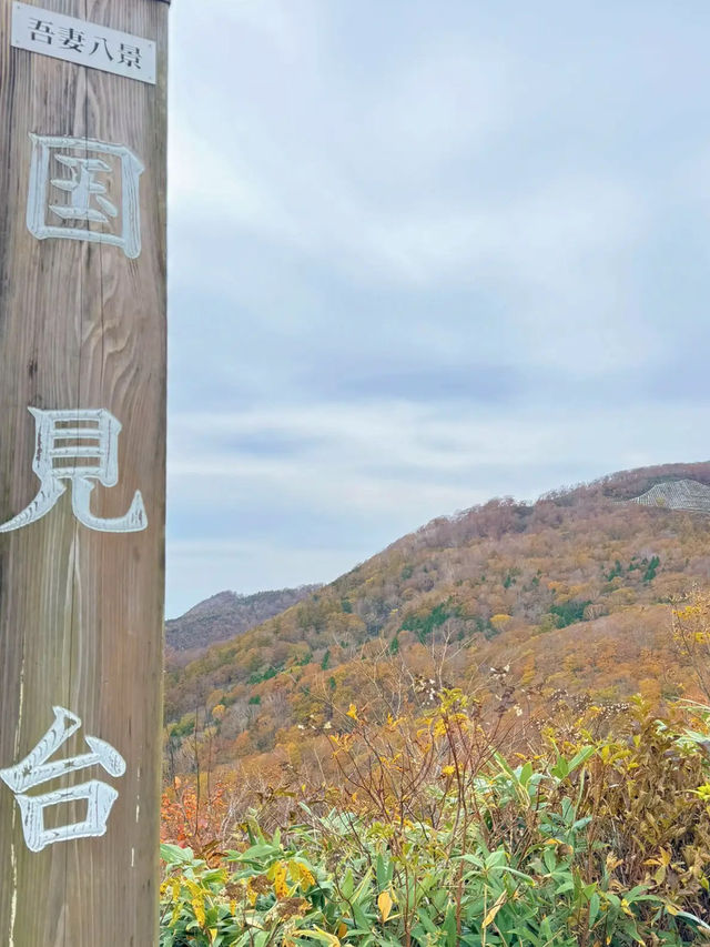 【福島】今だけ!!秋ドライブで紅葉を見に行こう!!