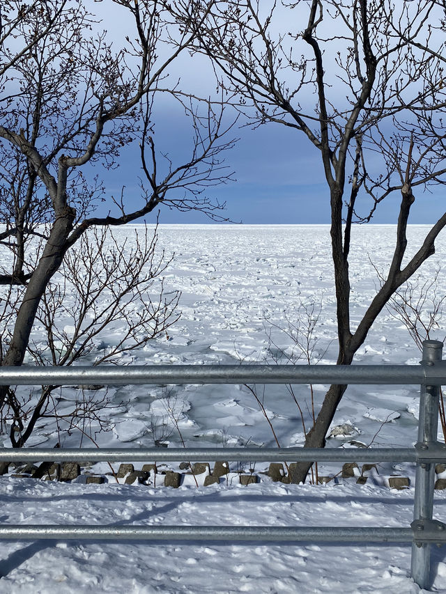 【北海道】冬の知床半島