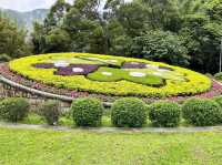 台北賞花好去處🌸 陽明山花鐘🌼