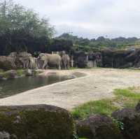 購買trip.com套票遊玩台北市立動物園,價廉+快捷+方便👍