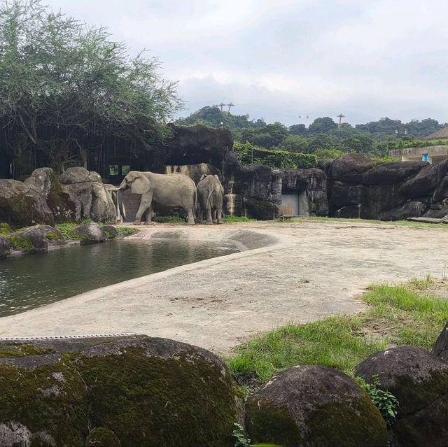 購買trip.com套票遊玩台北市立動物園,價廉+快捷+方便👍