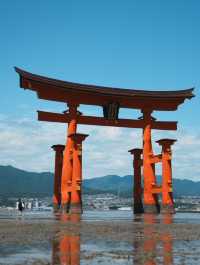 【広島観光】厳島神社のシンボル「大鳥居」⛩️