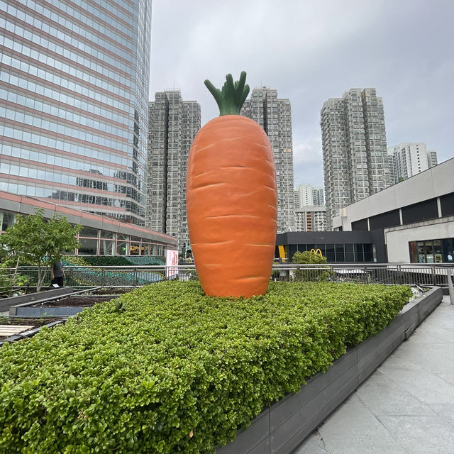 都市農莊享另類的城市生活
