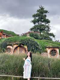 ทริปคุนหมิง-ลี่เจียง 5วัน4คืน เดือนตุลาคม 2024