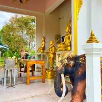 กุฏิไม้โบราณ วัดพานทอง