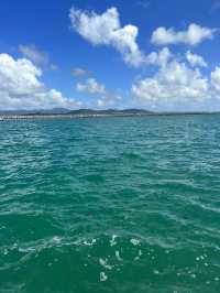 沖縄　石垣島でスキューバダイビング🤿🐠
