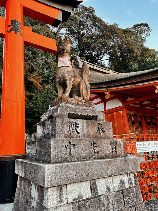 ⛩️SHRINE-ing in Kyoto | Fushimi Inari Taisha 🇯🇵 