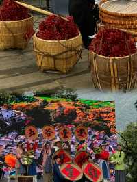 Harvest Colours and Timeless Traditions: Our Journey to Huangling Village