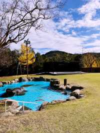【静岡県/伊豆　紅葉🍁を眺めながら楽しめるキャンプ施設】