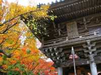 【広島県】世界遺産の安芸の宮島の古刹！紅葉絶景の大聖院