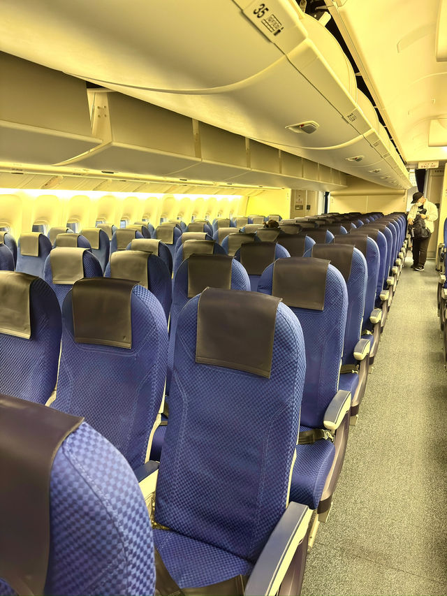 東京　東京観光　羽田空港からANAで新千歳空港へ快適フライト！