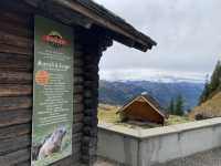 Stanserhorn’s Mystical Beauty on a Gloomy Day